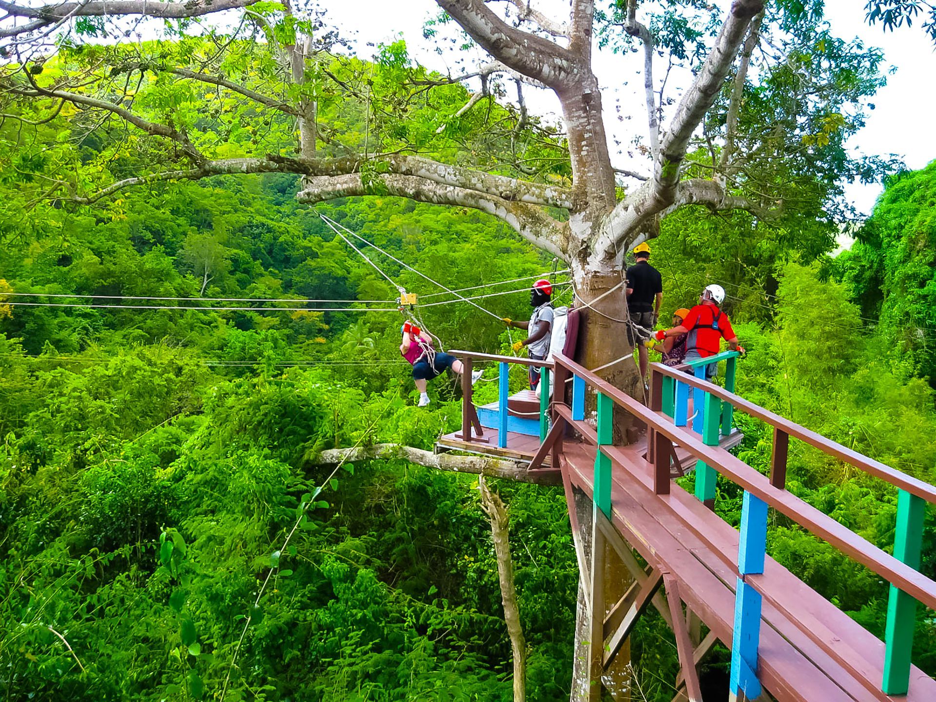 Zip-line adventure through Antigua's tropical forest